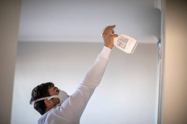 Montesano, WA Mold Remediation Company